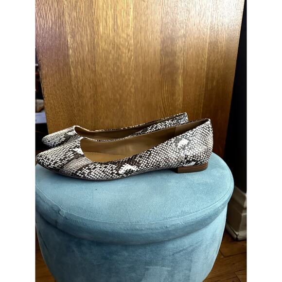 14 & Union Women's Animal Print Pointed Toe Flats | Size 11 - Picture 1 of 5